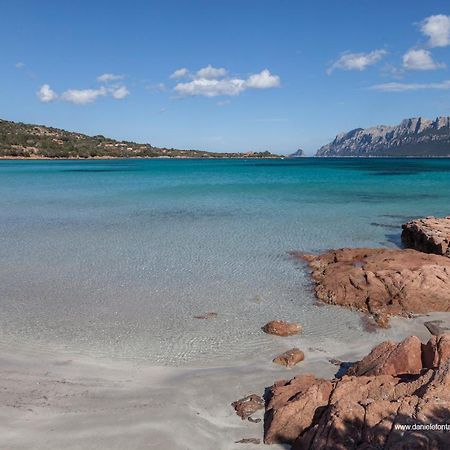Aria Di Vacanza - Gelsi Ольбия Экстерьер фото