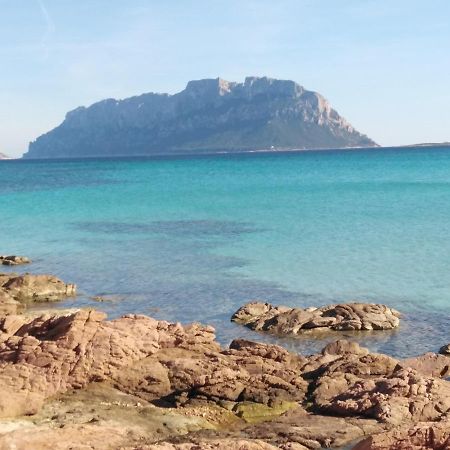 Aria Di Vacanza - Gelsi Ольбия Экстерьер фото