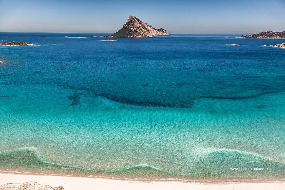 Aria Di Vacanza - Gelsi Ольбия Экстерьер фото