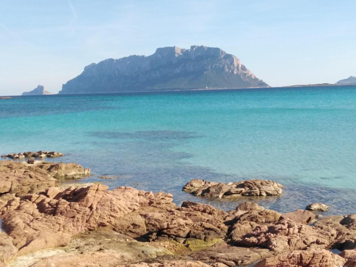 Aria Di Vacanza - Gelsi Ольбия Экстерьер фото